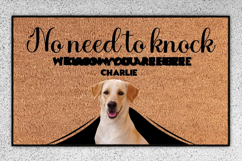 Personalized Pets Doormat - Up to 6 Pets 
- Decorative Mat - Upload Photo