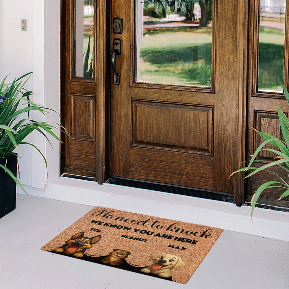 Personalized Pets Doormat - Up to 6 Pets - Decorative Mat - Custom Doormat