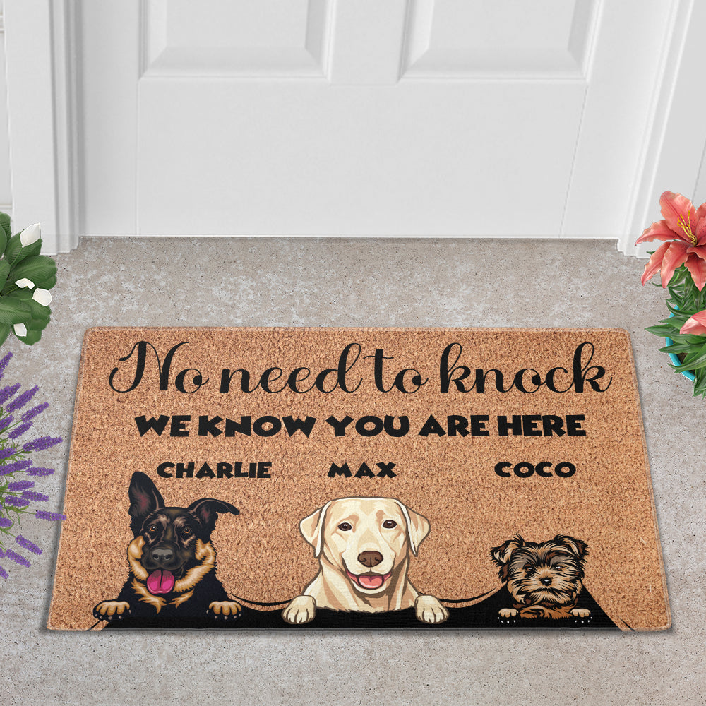 Personalized “No Need to Knock” Doormat – Custom Dog & Cat Doormat Or Photo with Pet Names – Funny Welcome Mat