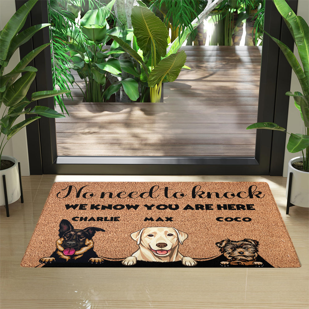 Personalized “No Need to Knock” Doormat – Custom Dog & Cat Doormat Or Photo with Pet Names – Funny Welcome Mat