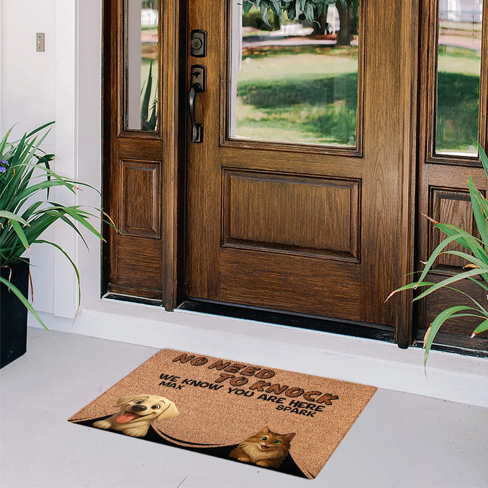Personalized Pets Doormat - Up to 6 Pets - Decorative Mat - Custom Doormat V2