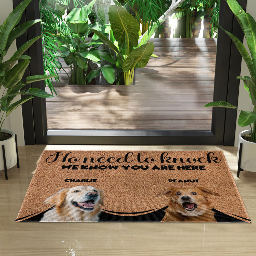 Personalized Pets Doormat - Up to 6 Pets
- Decorative Mat - Upload Photo