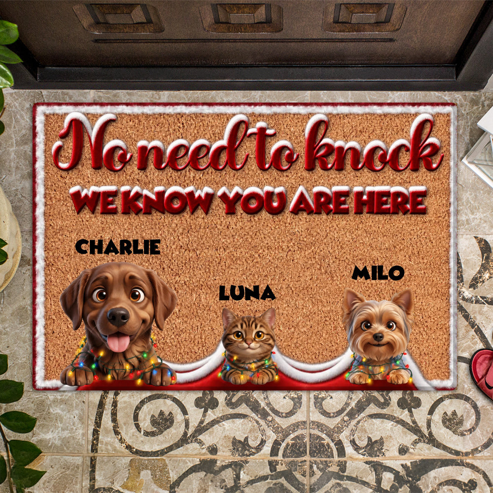 Personalized Pet Doormat – Christmas Lights Trio – photo 2