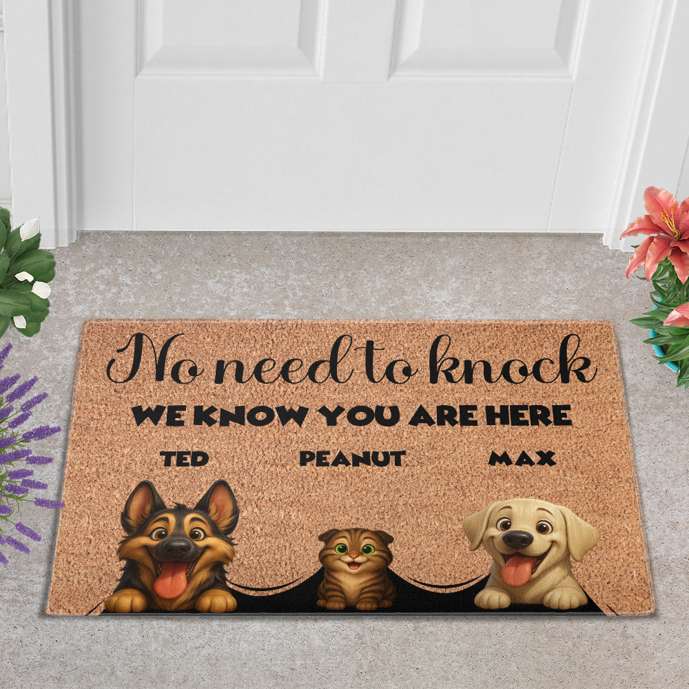 Personalized Pets Doormat - Up to 6 Pets - Decorative Mat - Custom Doormat