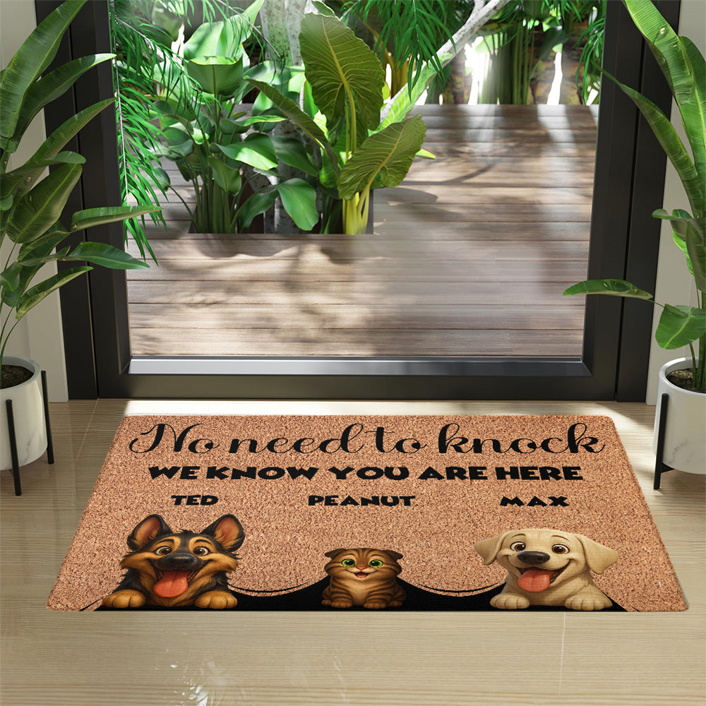 Personalized Pets Doormat - Up to 6 Pets - Decorative Mat - Custom Doormat