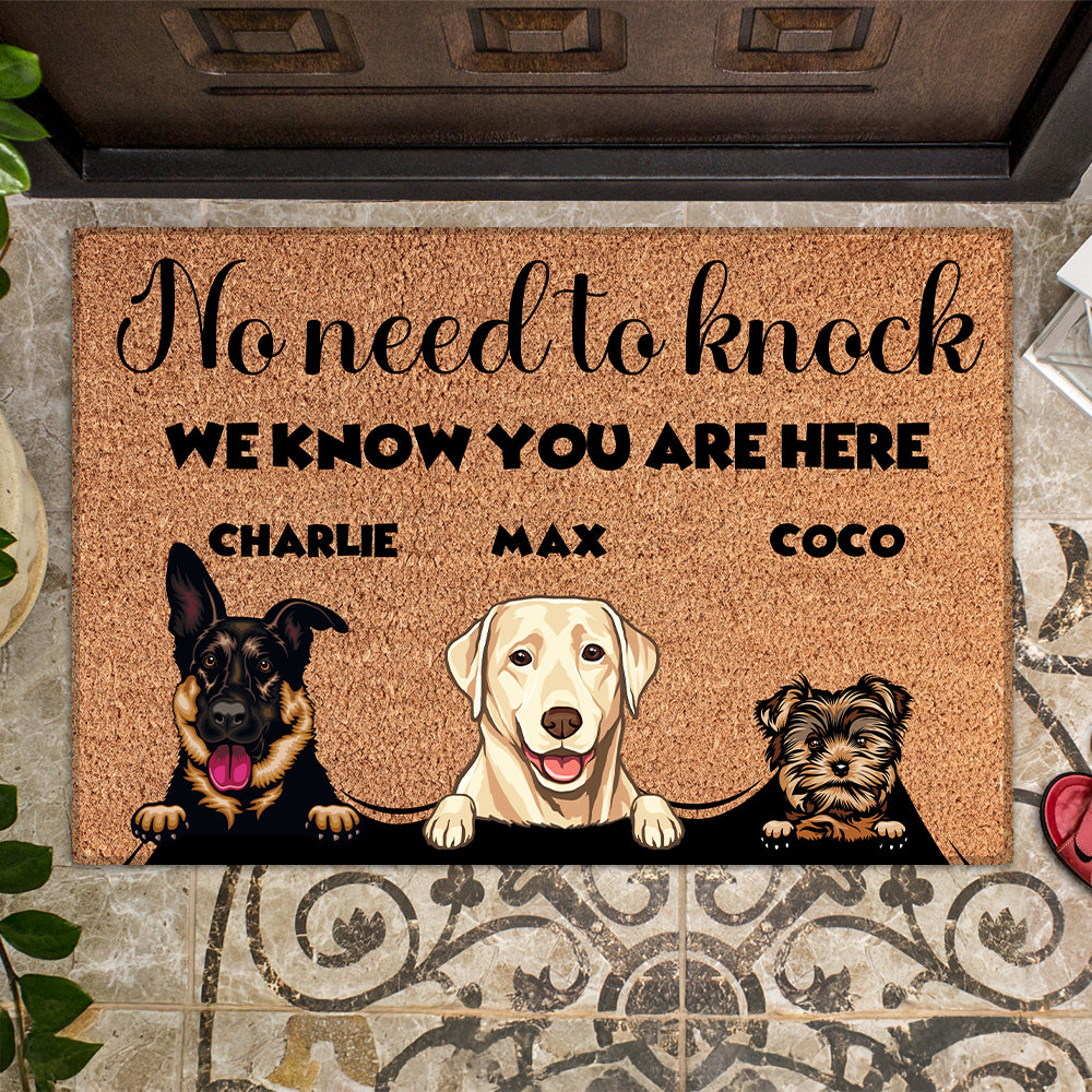 Personalized “No Need to Knock” Doormat – Custom Dog & Cat Doormat Or Photo with Pet Names – Funny Welcome Mat