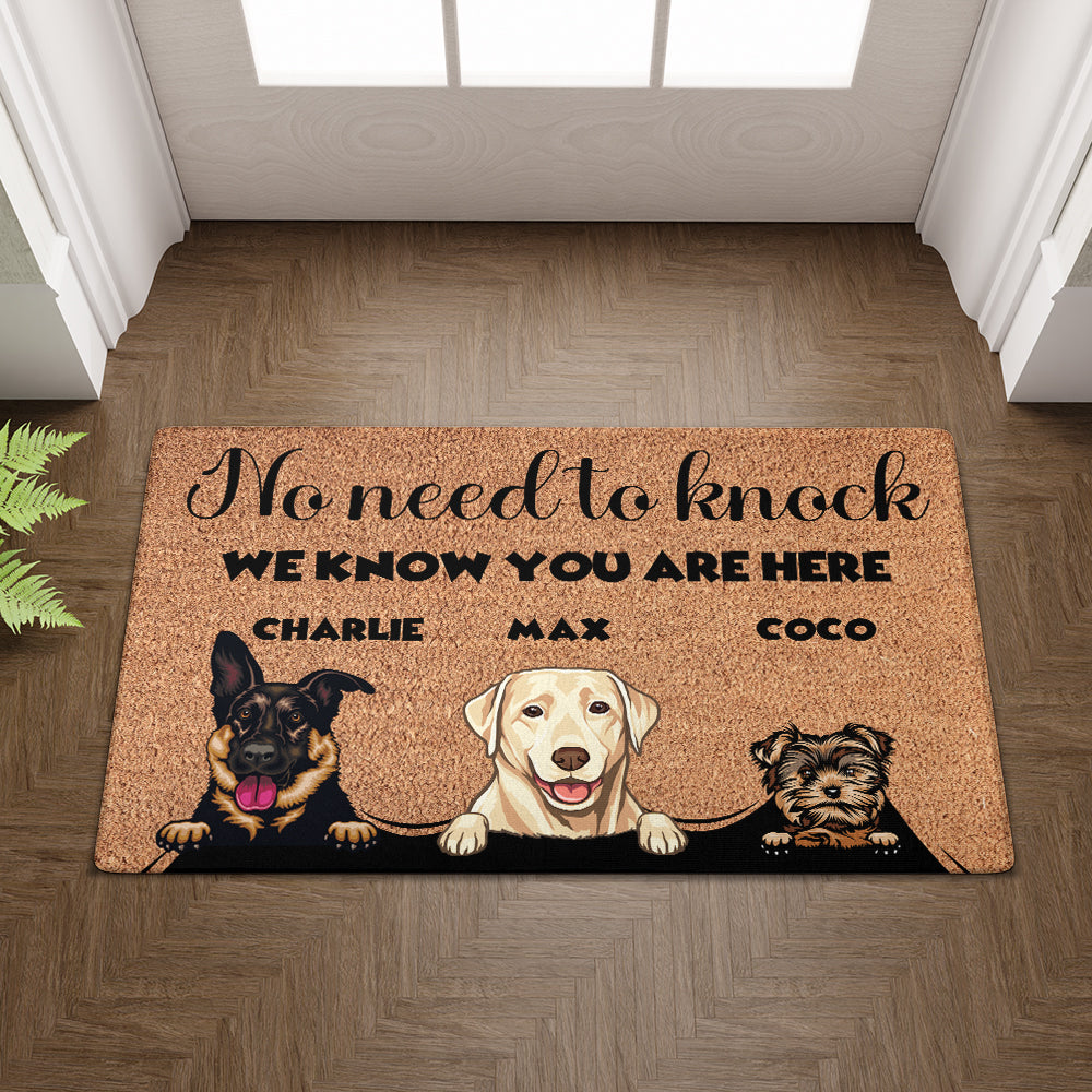 Personalized “No Need to Knock” Doormat – Custom Dog & Cat Doormat Or Photo with Pet Names – Funny Welcome Mat
