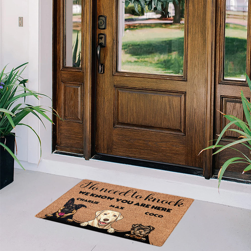 Personalized “No Need to Knock” Doormat – Custom Dog & Cat Doormat Or Photo with Pet Names – Funny Welcome Mat