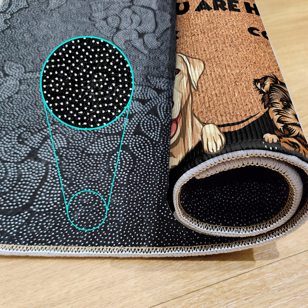 Personalisierte Katzen-Fußmatte - Bis zu 6 Haustiere - Dekorative Matte - Individuelle Fußmatte 