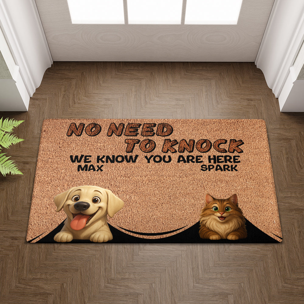 Personalized Pets Doormat - Up to 6 Pets - Decorative Mat - Custom Doormat V2
