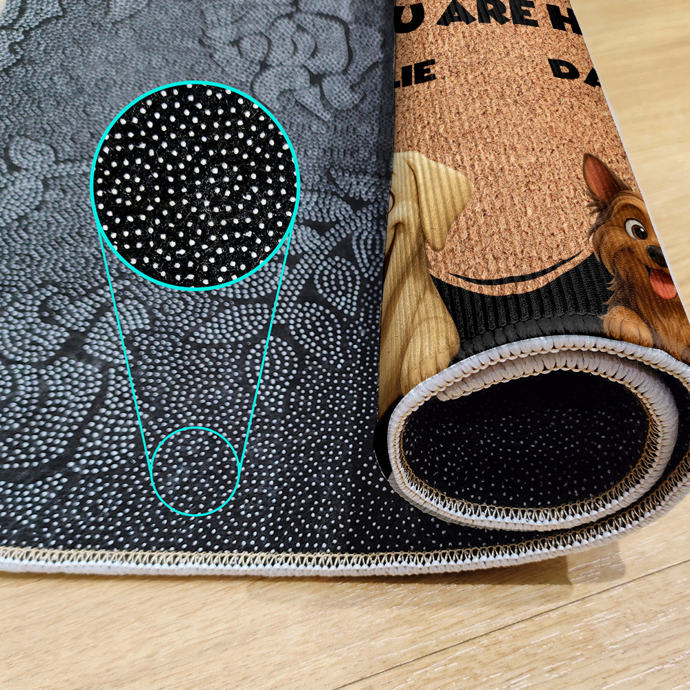 Personalized Pets Doormat - Up to 6 Pets - Decorative Mat - Custom Doormat