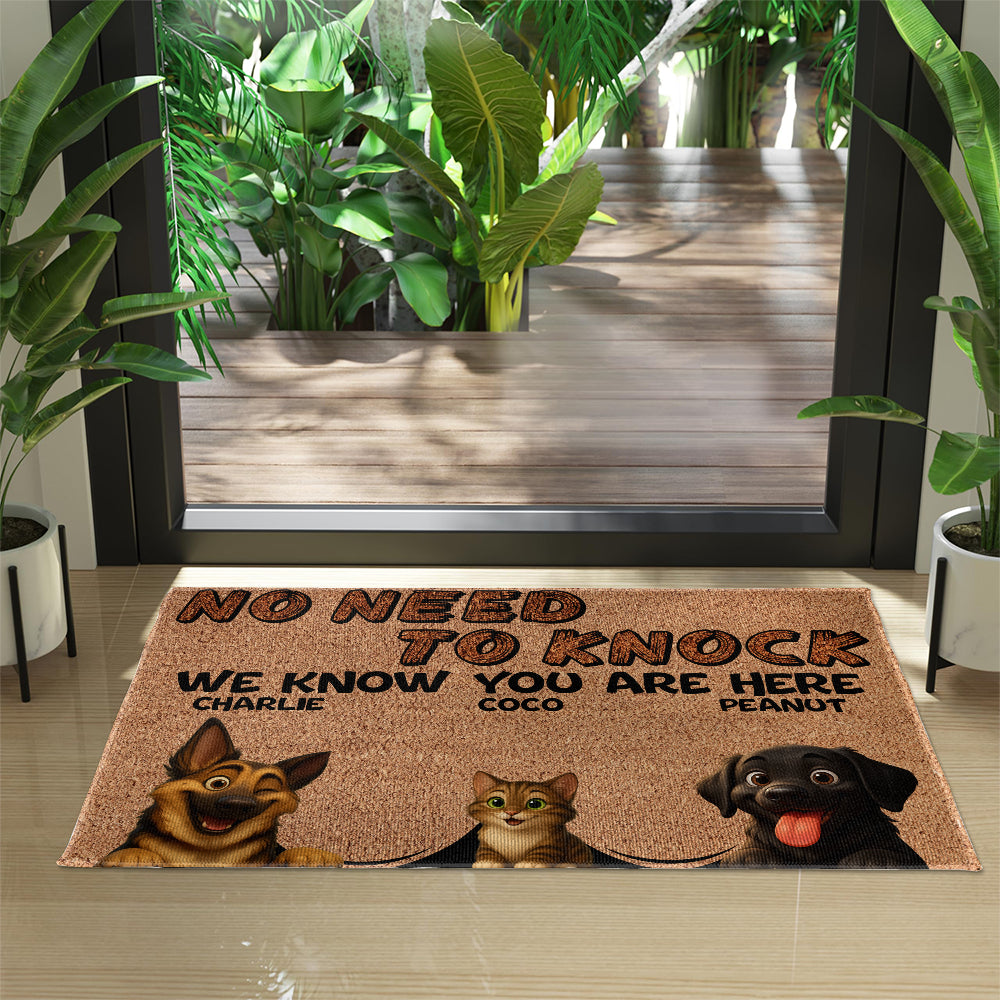 Personalized Pets Doormat - Up to 6 Pets - Decorative Mat - Custom Doormat V2