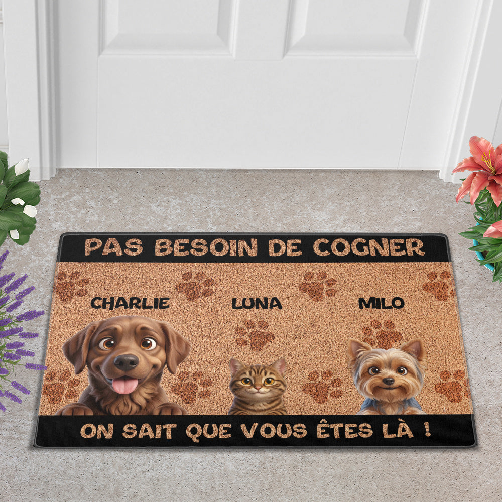 Paillassons
