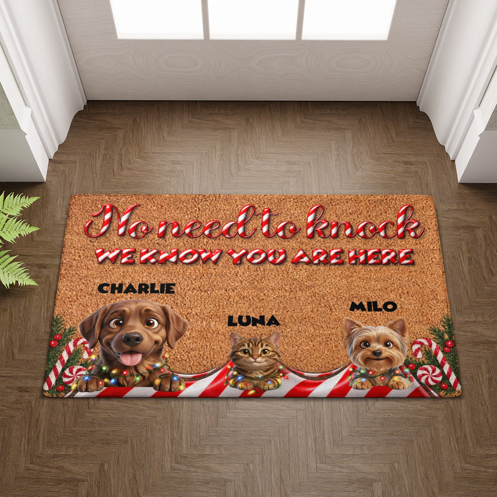 Personalized Pet Doormat – Candy Cane Christmas – photo 3