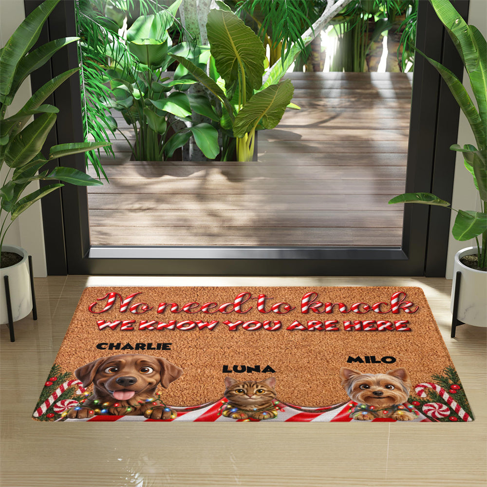Personalized Pet Doormat – Candy Cane Christmas – photo 4