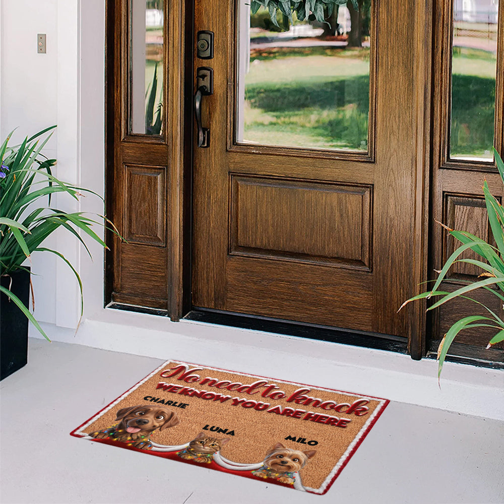 Personalized Pet Doormat – Christmas Lights Trio – photo 5