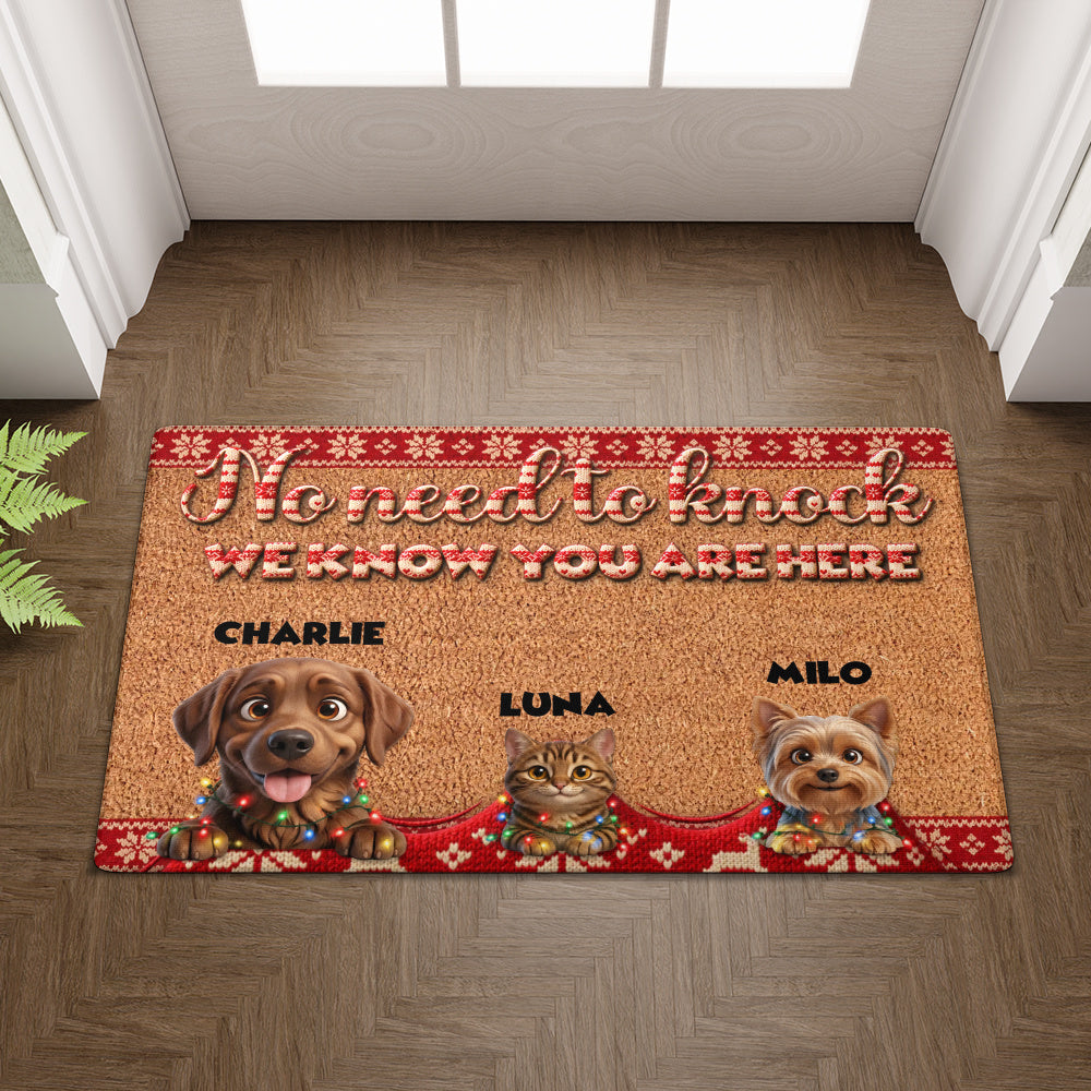 Personalized Pet Doormat – Christmas Lights Knit Border – photo 3