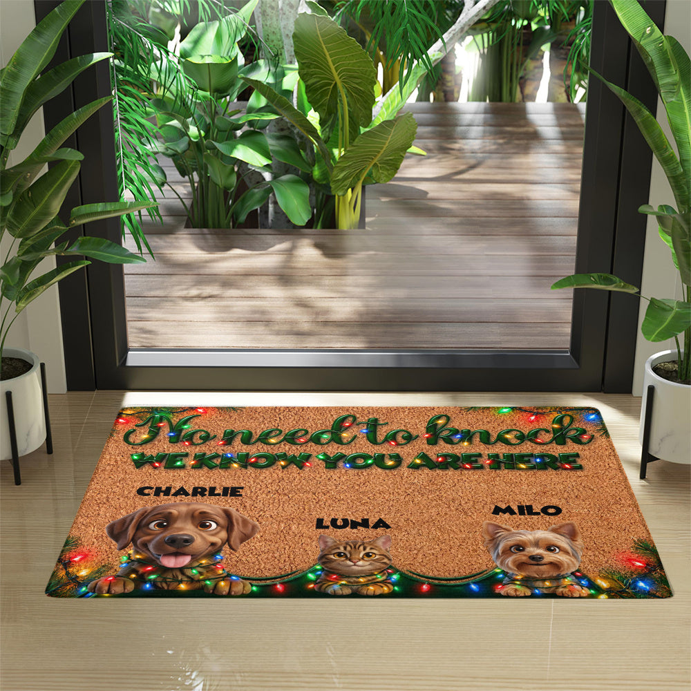 Personalized Pet Doormat – Christmas Lights Dogs and Cat – photo 4